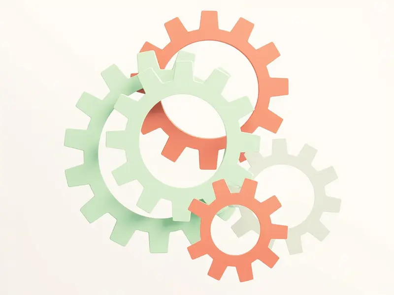 Accountability Culture: Responsabilità come Valore